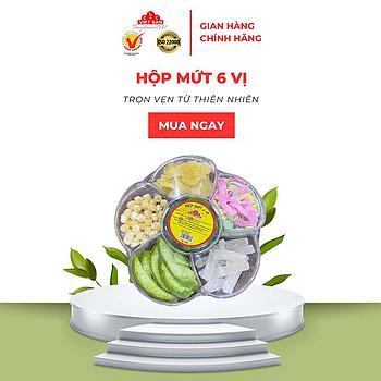 MỨT HOA MAI 6 VỊ